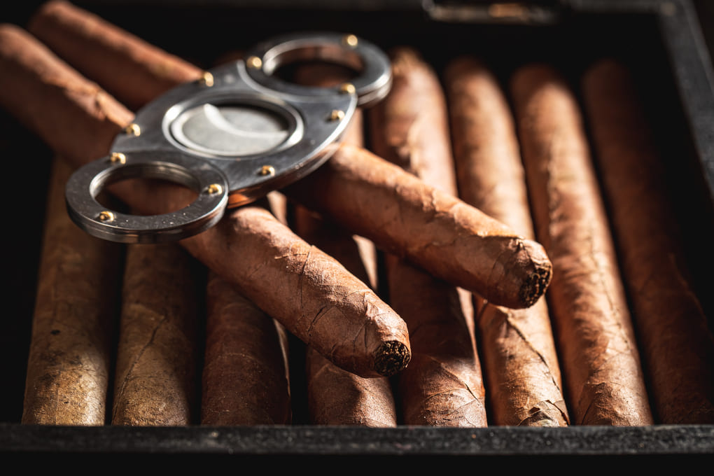 Vive el lujo con los cigarros Empatía: Esmeralda y Zafiro