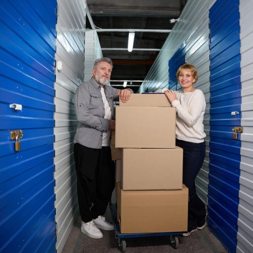 Control de plagas: la mejor defensa para tus pertenencias almacenadas